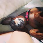 Profile Picture of Ana Maria Almario Hurtado (@anamariaalmario.17) on Instagram