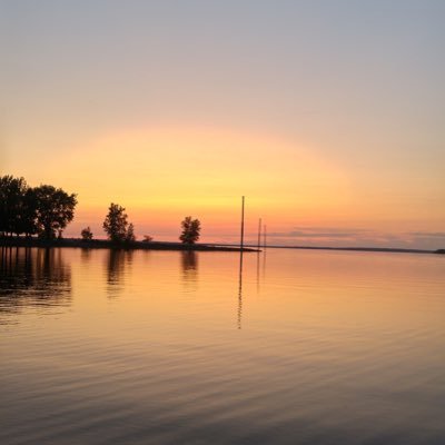 Profile Picture of Miranda (@rand1yu) on Twitter