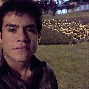 Profile Picture of Mike Bellido Cayllah (@mike_bellido) on Twitter