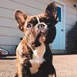 Profile Picture of Dustin Lowry (@dust_kx_250) on Instagram