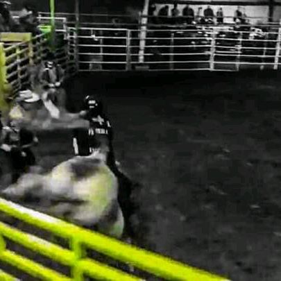 Profile Picture of Tyler Harter (@k_tbullriding21) on Tiktok