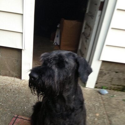 Profile Picture of Matt Culhane (@mculhane5) on Twitter