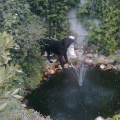 Profile Picture of ANTONIA J. ALEJOS (@antoniajaf) on Twitter