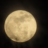 Profile Picture of Matthew Constance241 (@user111855428) on Tiktok