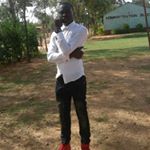 Profile Picture of robert rayne (@robe4436) on Instagram