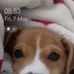 Profile Picture of Lynn Holmes (@lynn.holmes.5492) on Facebook