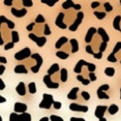 Profile Picture of D McLaughlin (@mclaughlin_dawn) on Twitter