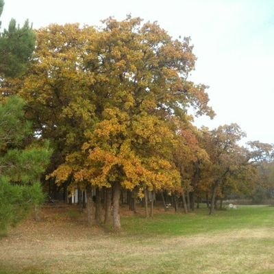 Profile Picture of Paul Cisar (@cisar_paul) on Twitter