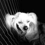 Profile Picture of Ann-charlott Andrén (@anncharlottandren) on Instagram