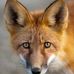 Profile Picture of Jon Petre (@jon.petre.585) on Facebook