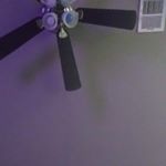 Profile Picture of Jason Martinez (@jasonmartinez1839) on Instagram