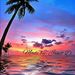 Profile Picture of Janet Dottori (@jandot26) on Pinterest