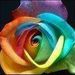 Profile Picture of Azellia Keys Bka Burger (@azellia1010) on Pinterest