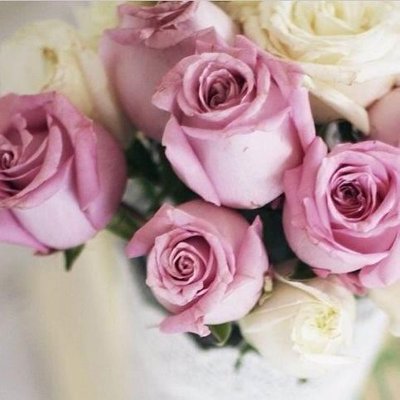 Profile Picture of Safia AL Nabhani (@safia_nabhani) on Twitter