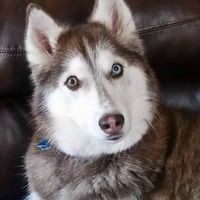 Profile Picture of Nick Chase (@nick-chase-66) on Quora