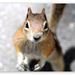 Profile Picture of Walter Thompson (@naphrodite) on Pinterest