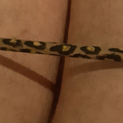 Profile Picture of Slave Chris (@SlaveChris8) on Twitter