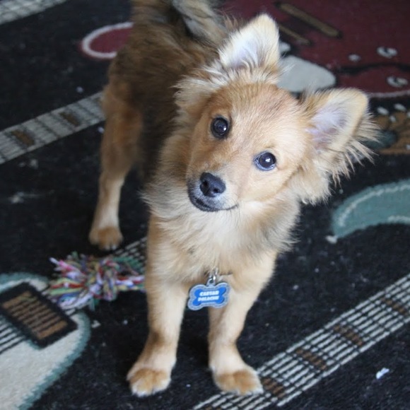 Profile Picture of Cassandra Fuller (@cassiej2392) on Poshmark