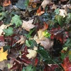 Profile Picture of Joseph Lafountain (@joseph.lafountain.361577) on Facebook