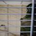 Profile Picture of Thomas Lo Piccolo (@thomas.lopiccolo.372) on Facebook