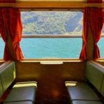 Profile Picture of Alysa Edelmann (@pet.maritza) on Instagram