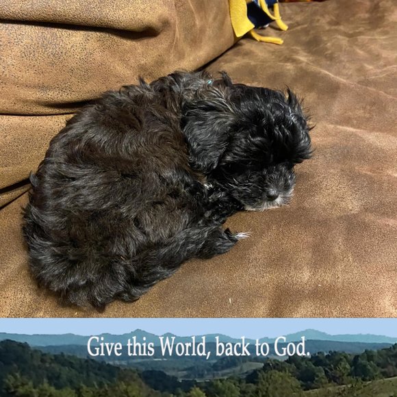 Profile Picture of Leora Hubbard (@lchubbard) on Poshmark