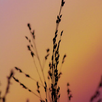 Profile Picture of Abhinav Mishra (@Abhinav Mishra (www.facebook.com/snapbot)) on Flickr
