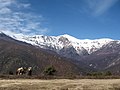 Jakupica range - Wikipedia Profile Picture of Jakupica rangeon Wikipedia