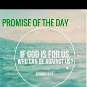 Profile Picture of Brian Gibbs (@briangibbs3492) on Youtube