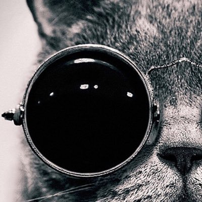 Profile Picture of Zachary Jeffers (@Jeffer10Zachary) on Twitter