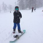 Profile Picture of Seth Shaw (@seth.shaw1) on Instagram