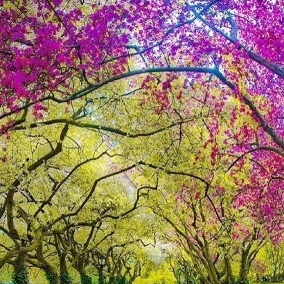 Profile Picture of Yesenia Ayala (@bastita) on Poshmark