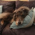 Profile Picture of Jeff Behrmann (@jhbehr14) on Instagram