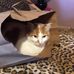 Profile Picture of Suzanne Wilkinson (@suzanne.wilkinson.7547) on Facebook