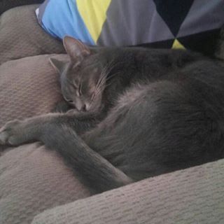 Profile Picture of Marlene Snider (@marlene.snider.3726) on Facebook