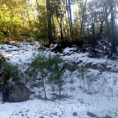 Profile Picture of STEVEN MONARREZ (@stevenmonarrez) on Twitter