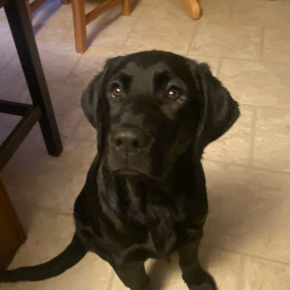 Derek Favretto - Poshmark Profile Picture of Derek Favretto (@derekfavretto) on Poshmark