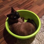 Profile Picture of Colin (@colin_grey_14) on Instagram