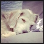 Profile Picture of Jesse James McFadden (@jesse_james_mcfadden) on Instagram