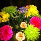 Profile Picture of Tanya Chaney (@tkschaney) on Pinterest