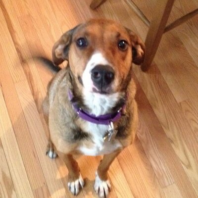 Profile Picture of David Roehler (@droe215) on Twitter