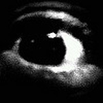 Profile Picture of Rob P (@rob / paul) on Flickr