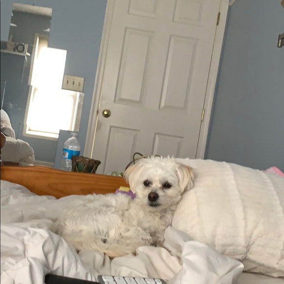 Profile Picture of Mylaina Dukat (@mylainadukat) on Poshmark