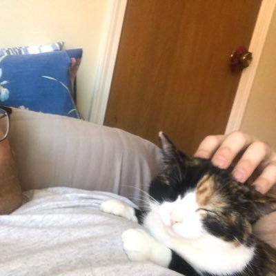 Profile Picture of Justin Rutter (@JustinRutter3) on Twitter