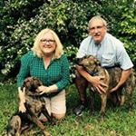 Profile Picture of Joanne Sauve Polansky (@polanskyjoanne) on Instagram