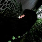 Profile Picture of pamela 32 (@pamela__fay) on Instagram