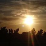 Profile Picture of Thomas McKinney (@re_fre_sh_er) on Instagram