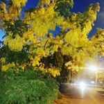 Profile Picture of Khalid Farooq Basraa (@khalidbasraa) on Instagram