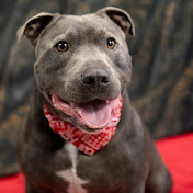 Profile Picture of Glen Barry Nicholson (@glenbarrynicholson2223) on Youtube