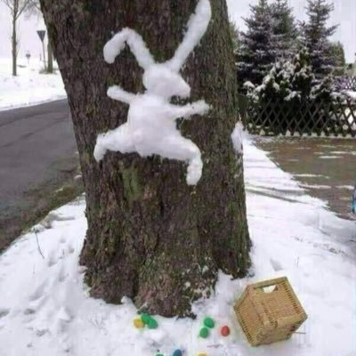 Profile Picture of John Casey (@jocasta1964) on Twitter